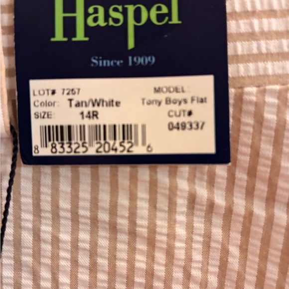 Elegant Beige Striped Dress Pants - Picture 6 of 6